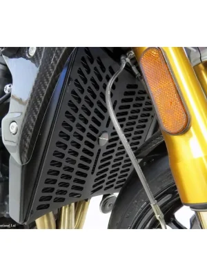 Koupit Online Triumph Speed Triple 1200RR 22-25, Speed Triple 1200 RS 21-26 Kryt chladiče Powerbronze - plast