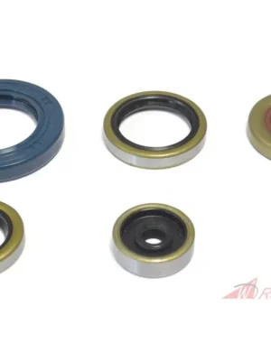 Značkový Sada gufer motoru ATHENA P400270400047- 5A