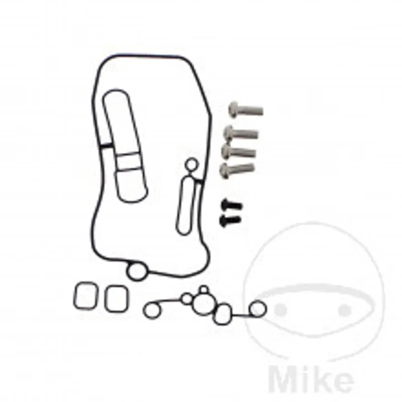 Originální Carburettor o-ring kit TOURMAX