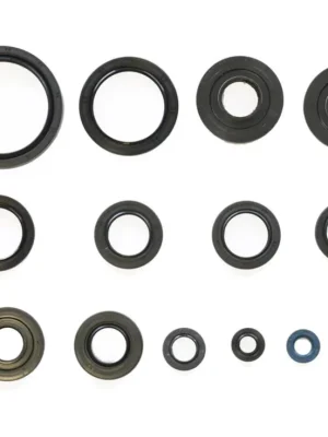 Sada gufer motoru ATHENA P400250400029 Top Prodej
