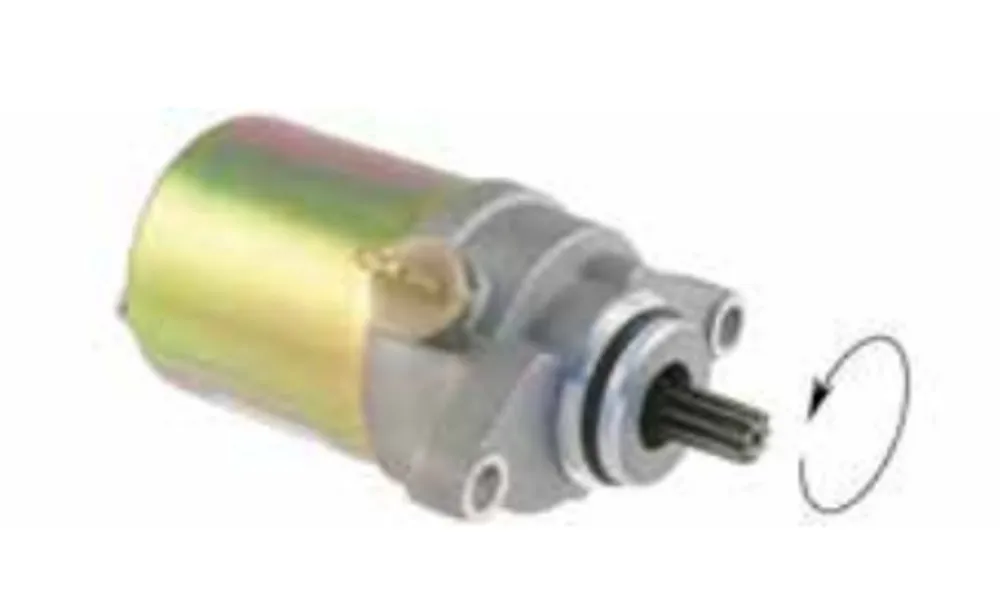 Odeslání Ihned Startér motoru RMS 246390170