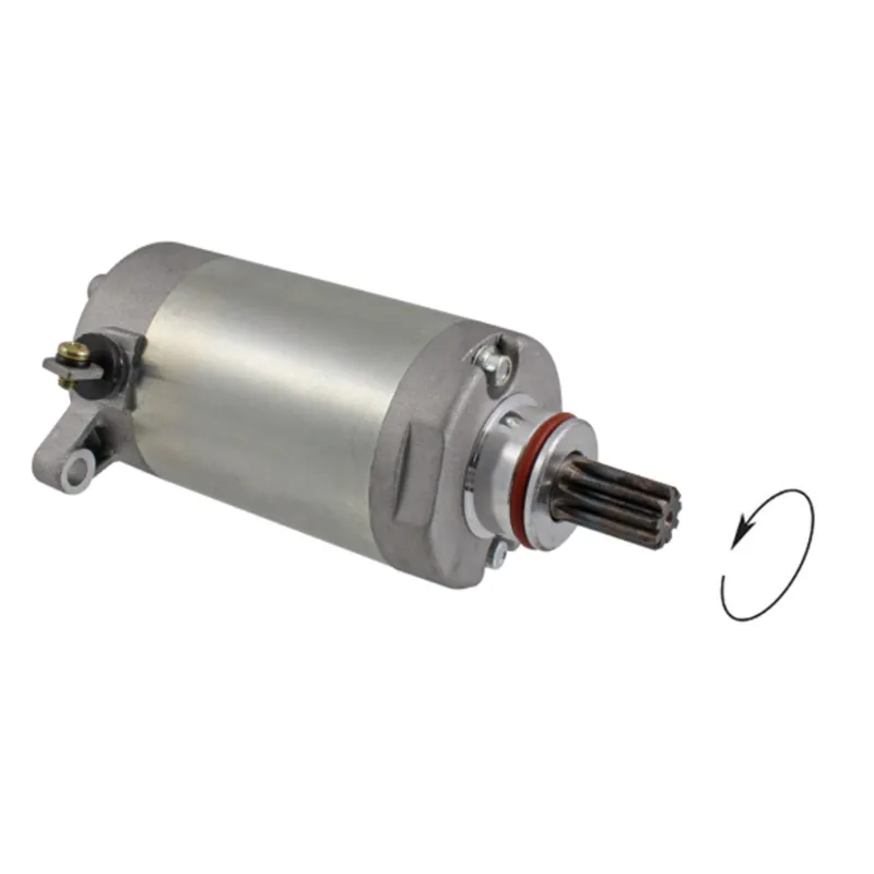 Odeslání Ihned Startér motoru RMS 246390470
