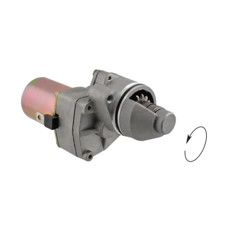 Přímo Od Výrobce Startér motoru RMS 246390870