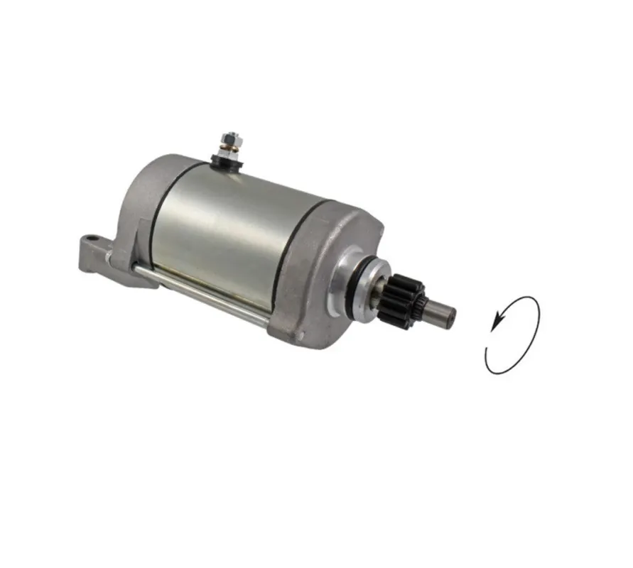 Startér motoru RMS 246390520 Vysoce Kvalitní