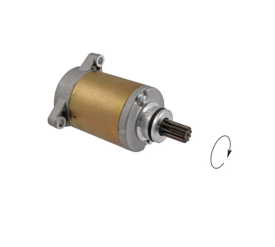 Top Prodej Startér motoru RMS 246390530