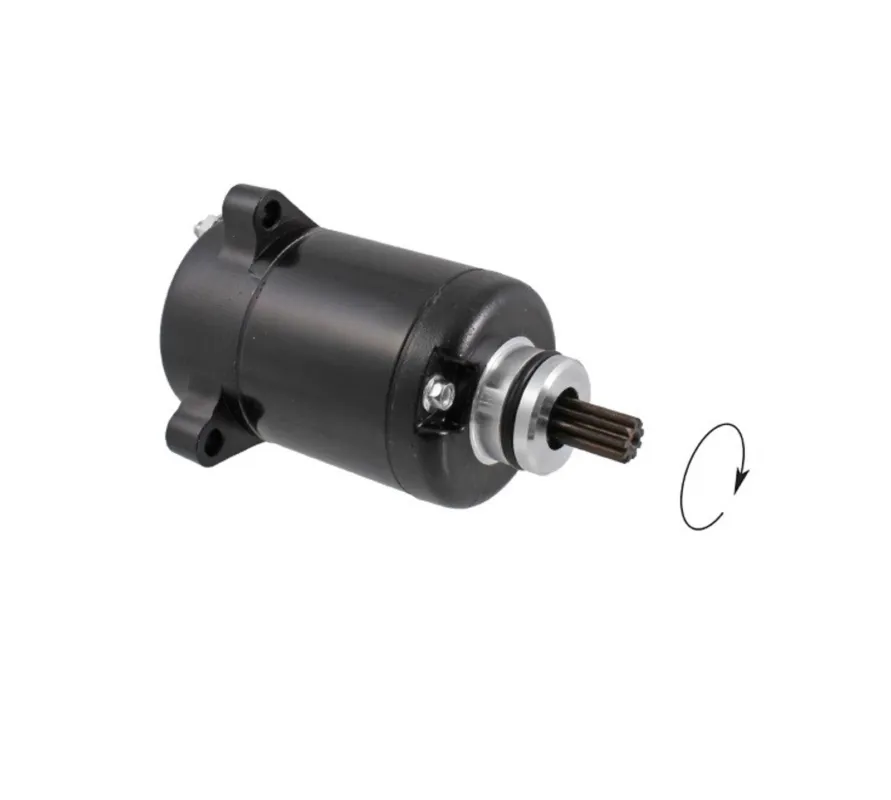 Startér motoru RMS 246390570 Expresní Doručení