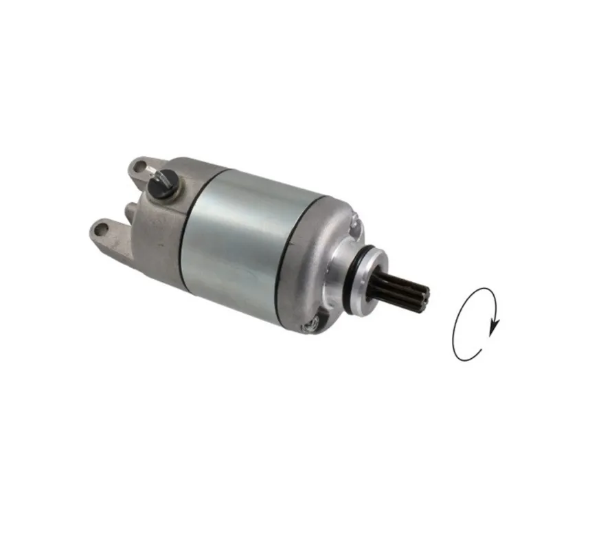 Omezená Nabídka Startér motoru RMS 246390600