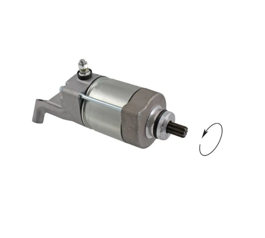 Startér motoru RMS 246390620 Oblíbený