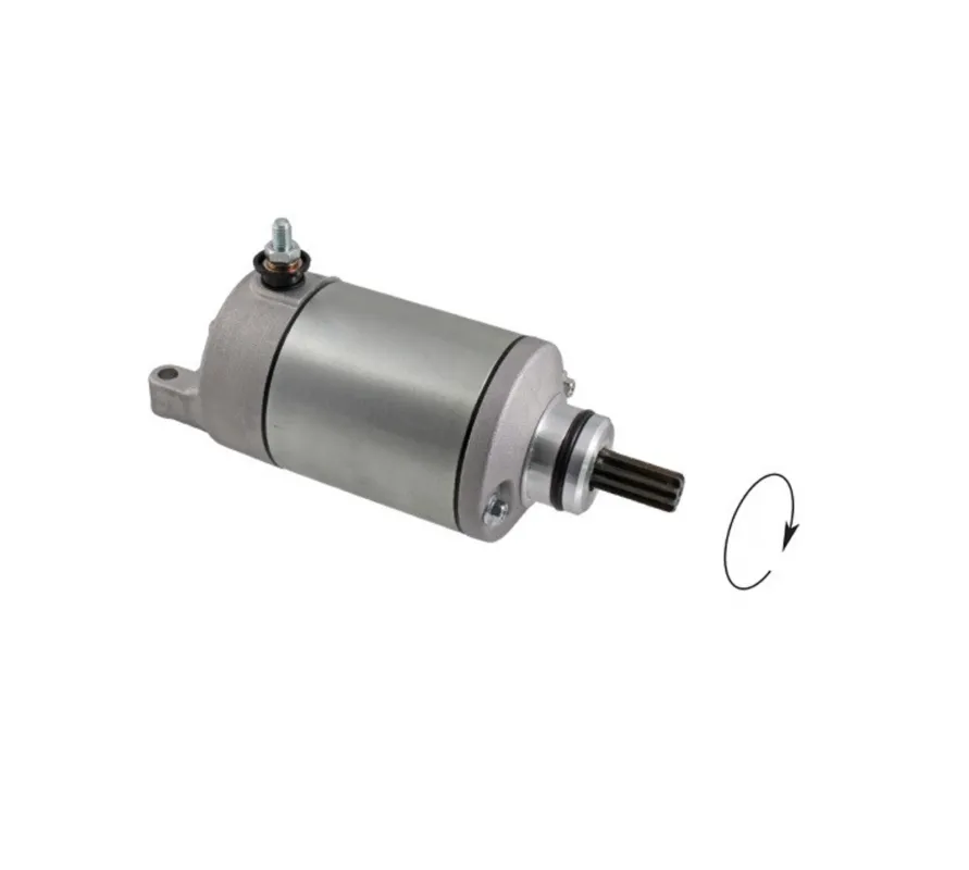 Omezená Nabídka Startér motoru RMS 246390790