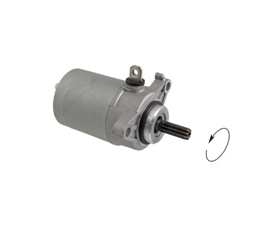 Autentický Startér motoru RMS 246390820