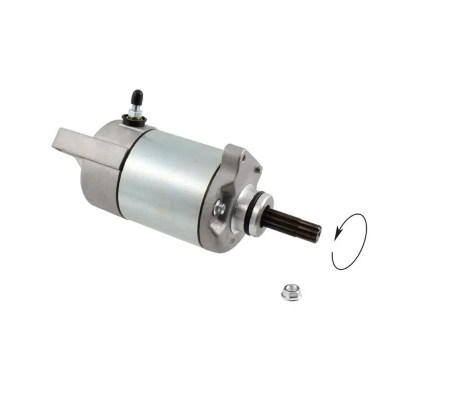 Nakupujte Hned Startér motoru RMS 246390830