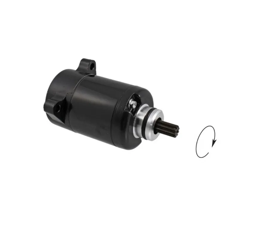 Nakupujte Hned Startér motoru RMS 246390850